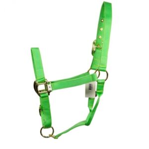Halters